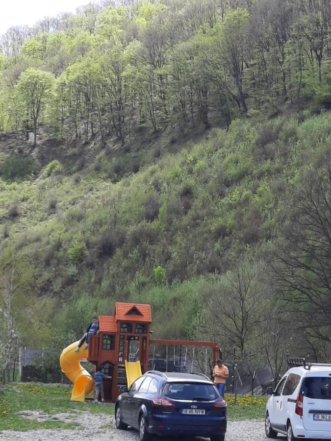 Pensiune Marginimea Sibiului Orlát Kültér fotó