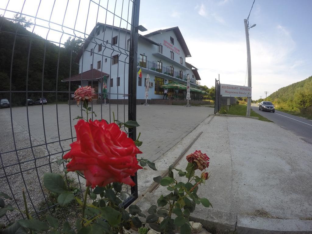 Pensiune Marginimea Sibiului Orlát Kültér fotó